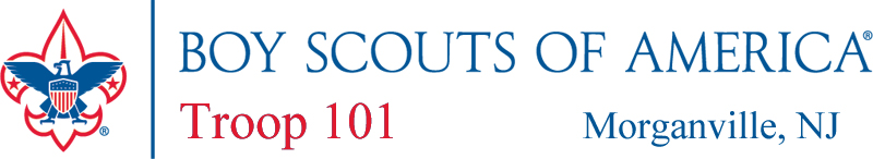 Boy Scouts of America, Troop 101